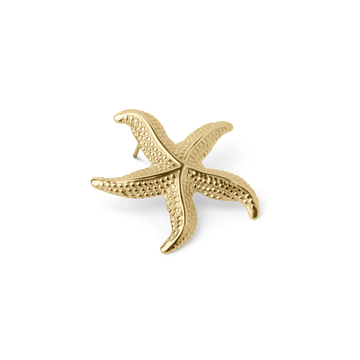 Ursula Curved Starfish Earrings