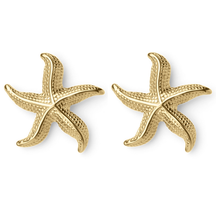 Ursula Curved Starfish Earrings